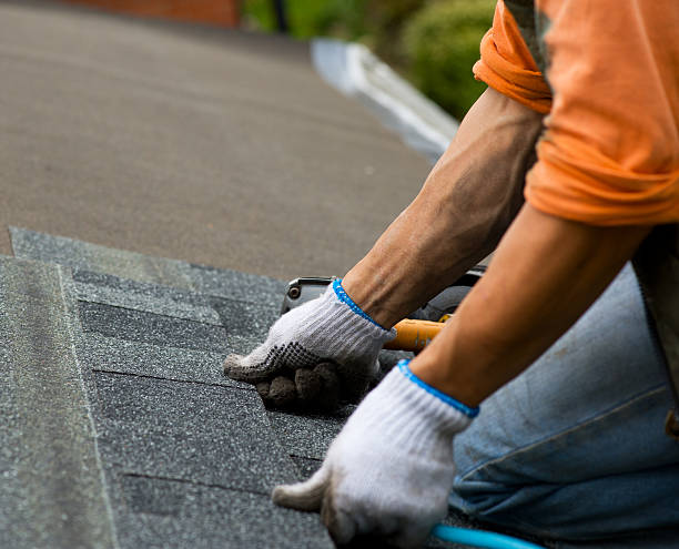 Best Storm Damage Roof Repair  in Royal Oak, MI